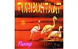 Turbostaat LP (analog) Flamingo