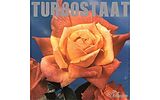 Turbostaat Vinyl Schwan