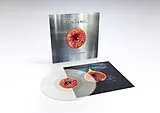 Moonlandingz,The LP (analog) No Rocket Required