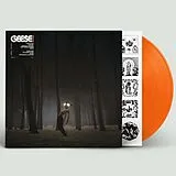 Geese Vinyl Projector