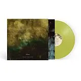 Editors Vinyl Surface,Echo & Sound