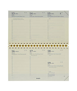  BREPOLS Agenda Omniplan Ersatz 2025 0.738.9900 1W/2S chamois 9x16cm von 