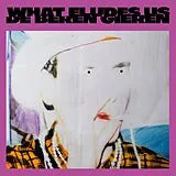 De Beren Gieren LP (analog) What Eludes Us (lp)
