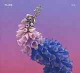 Flume CD Skin