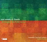 Stefano/Cantilena An Albarello CD Joys Et Amors-Minne Im 12.Jh.