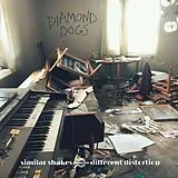 Diamond Dogs CD Similar Shakes Different Distortion