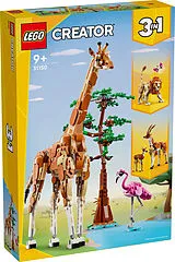 Creator Tiersafari Spiel