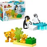 Duplo Wildtier-Familien: Pinguine und Lö Spiel