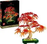 Botanicals Jap. Roter Ahorn Bonsai-Baum Spiel
