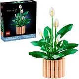 Botanicals Friedenslilie Spiel