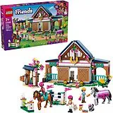 Friends Pferdestall und Reitschule Spiel