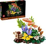Botanicals Waldpilze Spiel