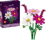 Botanicals Kosmeen Spiel