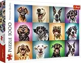 Lustige Hunde Porträts (Puzzle) Spiel