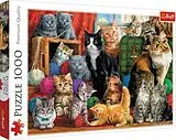 Katzen (Puzzle) Spiel