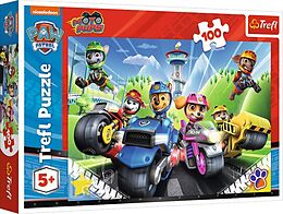 PAW Patrol Fahrzeuge Spiel