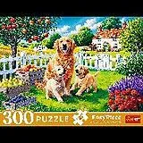 Hunde im Garten Spiel