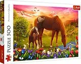 Puzzle 500 Pferde auf der Wiese Spiel