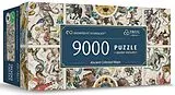 UFT Puzzle 9000 - Alte Himmelskarten Spiel