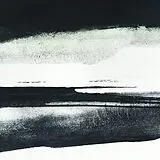 Silent Vigils CD Fieldem