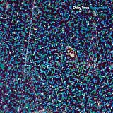 Delay Trees Vinyl Readymade (Vinyl)