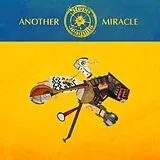 Steve N Seagulls LP (analog) Another Miracle