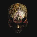 Blight Vinyl Temple Of Wounds
