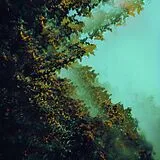 Polymoon Vinyl Caterpillars Of Creation