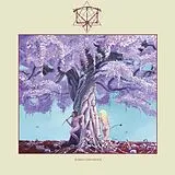 Iterum Nata Vinyl Bardo Disorder
