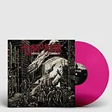 Terrorizer Vinyl Hordes Of Zombies