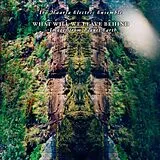 Haarla,Iro Electric Ensemble LP (analog) What Will We Leave Behind