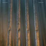 Skepticism LP (analog) Companion