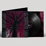 Radien LP (analog) Unissa Palaneet