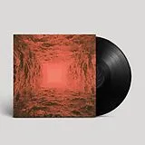 Haunted Plasma Vinyl I (black Vinyl)