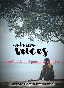 E-Book (epub) Unknown Voices von Adesoro Segun Emmanuel