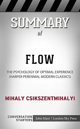 E-Book (epub) Summary of Flow von Paul Mani