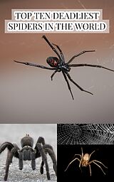 eBook (epub) Top Ten Deadliest Spiders in the World de Larry Slawson