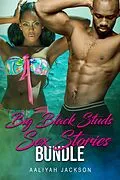 E-Book (epub) Big Black Studs Sex Stories Bundle von Aaliyah Jackson