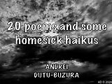 eBook (epub) 20 poems and some homesick haikus de Andrei Dutu-Buzura