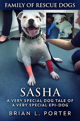 E-Book (epub) Sasha von Brian L. Porter