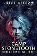 E-Book (epub) Camp Stonetooth von Jesse Wilson