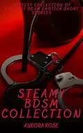 E-Book (epub) Steamy BDSM Collection - Volume 10 von Aurora Rose