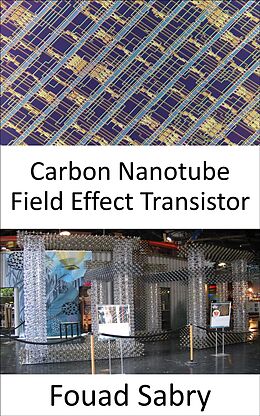 eBook (epub) Carbon Nanotube Field Effect Transistor de Fouad Sabry