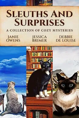 E-Book (epub) Sleuths and Surprises von Janie Owens, Jessica Brimer, Debbie De Louise