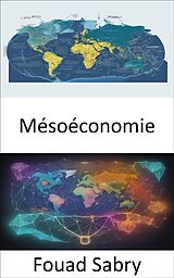 eBook (epub) Mésoéconomie de Fouad Sabry