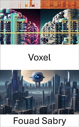 eBook (epub) Voxel de Fouad Sabry