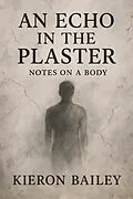 E-Book (epub) An Echo in the Plaster von Kieron Bailey