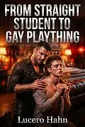 E-Book (epub) From Straight Student To Gay Plaything von Lucero Hahn