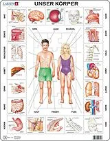 Unser Körper (Kinderpuzzle) Spiel