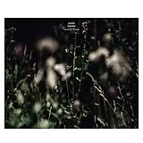 Anneli Drecker Vinyl ROCKS & STRAWS